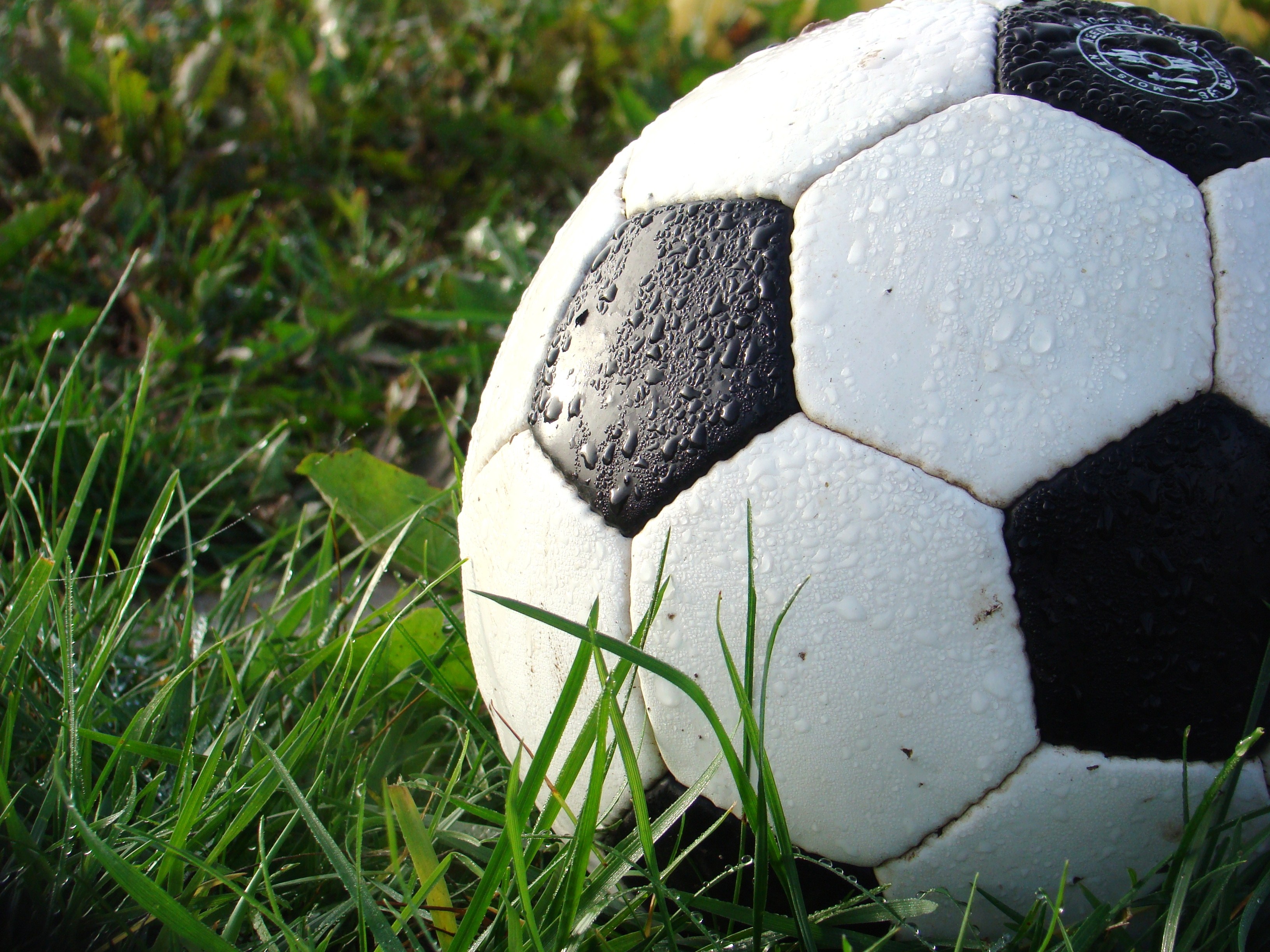 Public Domain Image of Soccer Ball in Grass